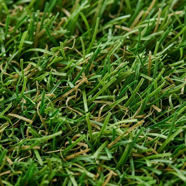 高密度・リアル質感